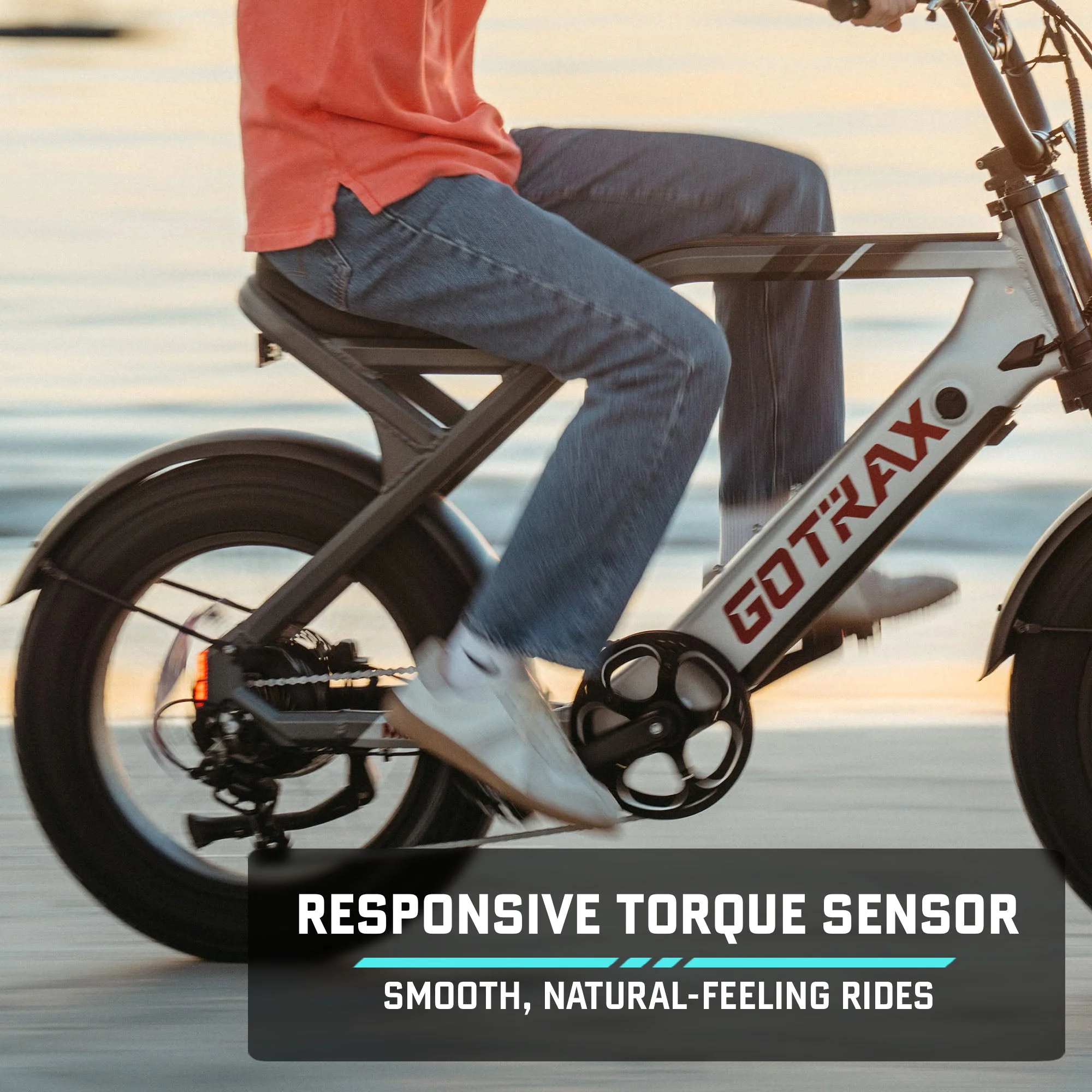 Mustang Electric Bike - Image 14